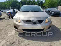 2010 Toyota COROLLA photo