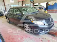 2010 Toyota COROLLA photo