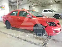 2010 Toyota COROLLA photo