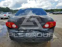 2010 Toyota COROLLA photo