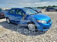 2010 Toyota COROLLA photo