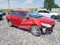2010 Toyota COROLLA фото