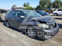 2010 Toyota COROLLA photo