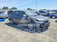 2010 Toyota COROLLA фото