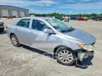 2010 Toyota COROLLA фото