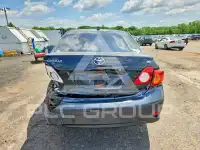 2010 Toyota COROLLA photo