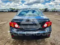 2010 Toyota COROLLA фото