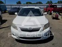2010 Toyota COROLLA фото