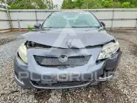 2010 Toyota COROLLA фото