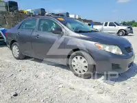 2010 Toyota COROLLA фото
