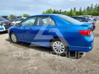 2010 Toyota COROLLA фото