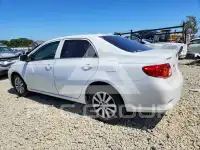 2010 Toyota COROLLA photo