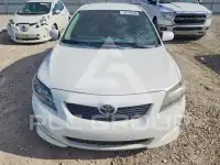2010 Toyota COROLLA фото