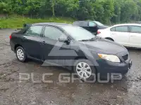 2010 Toyota COROLLA фото