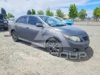 2010 Toyota COROLLA фото