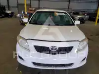 2010 Toyota COROLLA photo