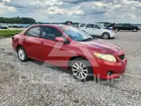 2010 Toyota COROLLA photo
