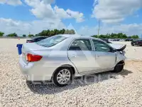 2010 Toyota COROLLA фото