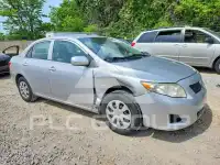 2010 Toyota COROLLA фото