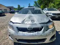 2010 Toyota COROLLA фото