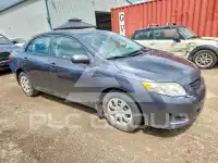 2010 Toyota COROLLA фото
