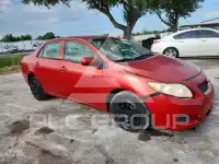 2010 Toyota COROLLA фото