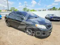 2010 Toyota COROLLA photo