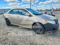 2010 Toyota COROLLA photo