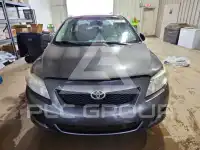 2010 Toyota COROLLA photo