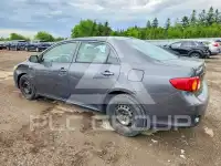 2010 Toyota COROLLA фото