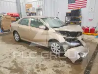 2010 Toyota COROLLA photo
