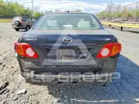 2010 Toyota COROLLA фото