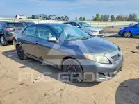 2010 Toyota COROLLA фото