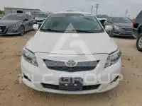 2010 Toyota COROLLA photo