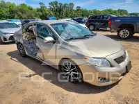 2010 Toyota COROLLA фото