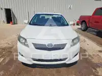 2010 Toyota COROLLA фото