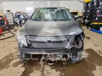 2010 Toyota COROLLA photo