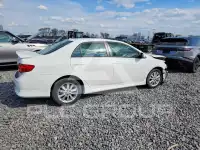 2010 Toyota COROLLA фото