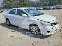 2010 Toyota COROLLA photo