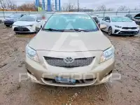 2010 Toyota COROLLA фото