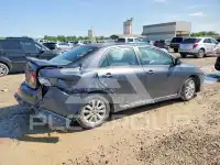 2010 Toyota COROLLA фото