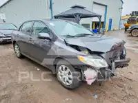 2010 Toyota COROLLA photo