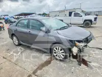 2010 Toyota COROLLA фото