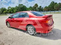 2010 Toyota COROLLA фото