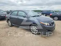 2010 Toyota COROLLA фото