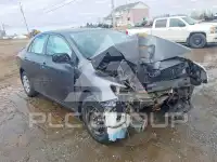2010 Toyota COROLLA photo