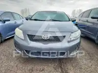 2010 Toyota COROLLA фото