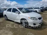 2010 Toyota COROLLA фото
