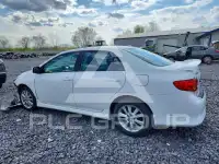 2010 Toyota COROLLA фото