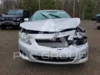 2010 Toyota COROLLA photo